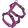Image de Harnais pour chien Kerbl Miami Noir 30/40 cm 84350