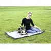 Image de Kerbl Couverture de voyage pour chiens 140x100 cm - Gris/Noir