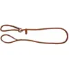Image de Laisse pour chien avec collier intégré Kerbl Roma Rouge 170 cm 81100