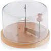 Image de Rabot girolle à fromage en bois + cloche - 77080 - Planum - KELA LINE