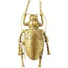 Image de Décoration Longicorn Beetle Dorée