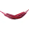 Image de AMAZONAS Salsa Violet