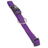 Image de Collier pour chien Nobby Pet Classic Violet 20 cm 74700-38
