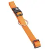 Image de Collier pour chien Nobby Pet Classic Orange 35 cm 74701-04