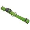 Image de Collier pour chien Nobby Pet Classic Vert 45 cm 74702-41