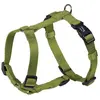 Image de Harnais pour chien Nobby Pet Classic Vert L/XL 73168-41