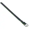 Image de Collier pour chien Nobby Pet Pacific Vert XS/S 77921-35