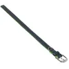 Image de Collier pour chien Nobby Pet Pacific Vert M/L 77925-35