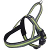 Image de Harnais norvégien pour chien Nobby Pet Variado Jaune S/M 80610-24