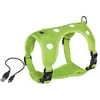 Image de Harnais pour chien Nobby Pet Flash Mesh Jaune S (35/45 cm) 80750-24