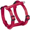 Image de Harnais pour chien Nobby Pet Classic Preno Mini Rouge 2XS/S (30/40 cm) 80664-01