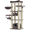 Image de Arbre à chat Nobby Pet Rubi Marron 60x80x197 cm 63713-78