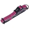 Image de Collier pour chien Nobby Pet Cayo Gris 35 cm 88723-42