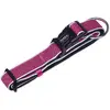 Image de Collier pour chien Nobby Pet Cayo Gris 45 cm 88724-42