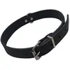 Image de Collier pour chien Nobby Pet Tabil Noir S 80920-05