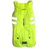 Image de Manteau pour chien Nobby Pet Naupo Vert 29 cm 52812