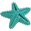 Image de Jouet étoile de mer pour chien en TPR Nobby Pet Dental Line Turquoise 16 cm 53122
