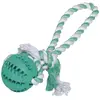 Image de Balle en caoutchouc avec corde pour chien Nobby Pet Dental Line Turquoise 7x30 cm 61218