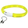 Image de Colliers pour chien lumineux à LED large Nobby Pet Visible Jaune S 77034