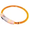 Image de Colliers pour chien lumineux à LED large Nobby Pet Visible Orange S 78263