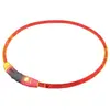 Image de Colliers pour chien lumineux à LED large Nobby Pet Visible Rouge L 78265