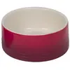 Image de Gamelle en céramique pour chien Nobby Pet Gardient Rouge 0,25 L 82315