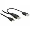 Image de Delock Câble d'extension USB - 1 m