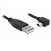Image de delock Câble USB/Mini USB - Noir - 2 m