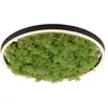 Image de Plafonnier LED moderne mousse verte Ritus Leuchten 39cm