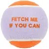 Image de Balle pour chien Coockoo Fetch Me Violet 12,7 cm 303/485293