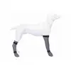Image de Trixie Chaussettes pour chien - Taille L - Gris