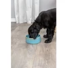 Image de Gamelle pour chien en céramique Trixie Bleu TU 25113