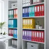 Image de Esselte Classeur à levier N°1 Power A4 - Lot de 10 - Bleu