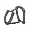 Image de Trixie New Premium - Graphite M/L