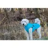 Image de Imperméable pour chien Trixie Vimy Turquoise L 680207