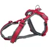 Image de Harnais pour chien Trixie Premium Trekking Rouge M/L 1997303