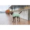 Image de Manteau pour chien imperméable Trixie CityStyle Dublin Vert S 680613