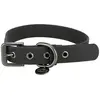 Image de Collier pour chien en pvc Trixie CityStyle Noir L 1971701