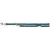 Image de Laisse pour chien réglable Trixie Premium Gris L/XL 200632