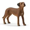 Image de Schleich figurine chien Rhodesian Ridgeback