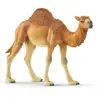 Image de Schleich Figurine dromadaire Wild Life