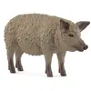 Image de Schleich figurine cochon Mangalica