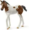 Image de Schleich figurine poulain Paint Horse