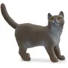 Image de Schleich figurine chat British Shorthair