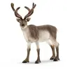 Image de 14837 - WILD LIFE Renne Schleich