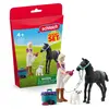 Image de Schleich figurine Sofia mini monde