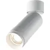 Image de Spot simple blanc 4000K 960lm