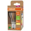 Image de Osram ampoule LED filament E27