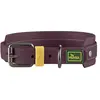 Image de Collier pour Chien Hunter Violet 37-45 cm