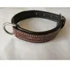 Image de Collier pour chien Hekktor Odin Marron M CO-OD-MA